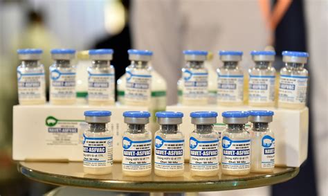 asf vaccine|ASF Vaccine Approval Soon: DA Announcement .